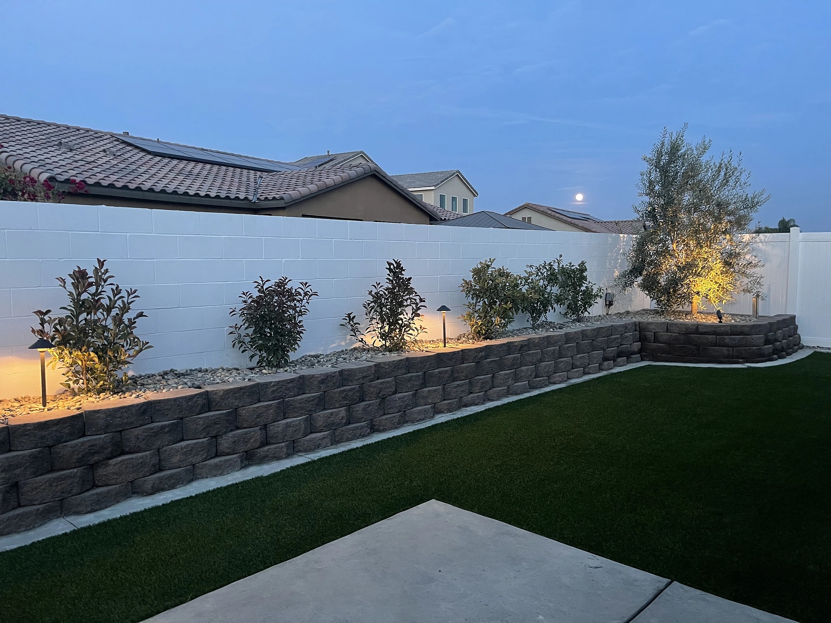 Uplit shrubs and an olive tree along a block wall at dusk, with artificial turf and a path light